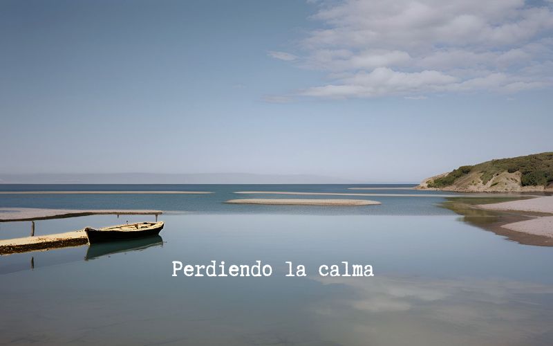 PERDIENDO LA CALMA